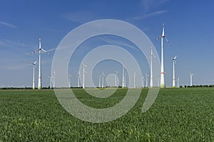 Windfarm with blue sky green energy