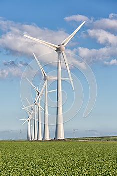 Windfarm in Dutch landscape with field of sugar beets