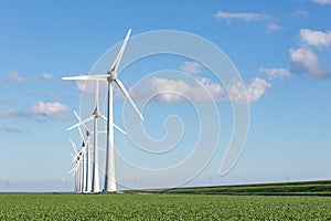 Windfarm in Dutch landscape with field of sugar beets