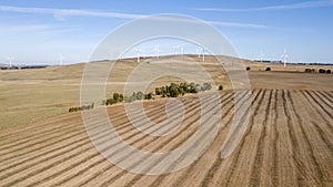 Windfarm in the field 01