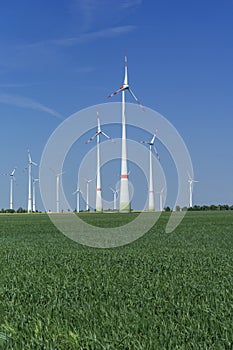Windfarm with green field green energy