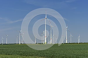 Windfarm with green field green energy