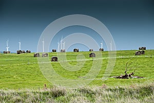 Windfarm on the hill