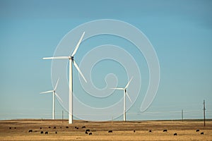 Windfarm near Pawnee Buttes and Grover, Colorado.