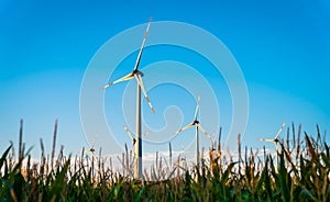 Windfarm in northern Germany surrounded by corn and blue sky