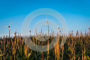 Windfarm in northern Germany surrounded by corn and blue sky