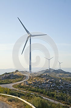 Windfarm with offroad access trail photo