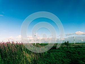 windfarm in scotland