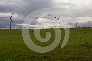 A Windfarm in Scotland