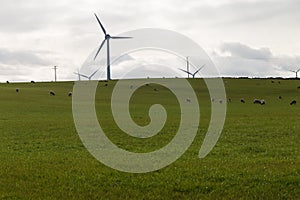 A Windfarm in Scotland