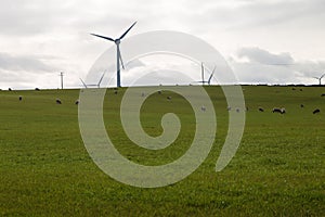 A Windfarm in Scotland