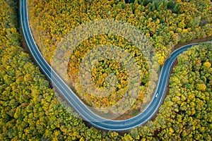 Windind Road going through the autumn forest