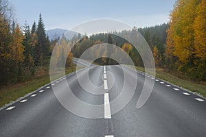 Winding asphalt road in beautiful autumn landscape