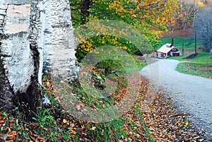 A winding Autumn Country Road