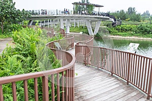 Winding Boardwalk