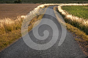 Winding country road