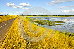 Winding country road on a Dutch embankment