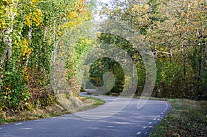 Winding country road in fall season