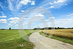 Winding country road, grain and meadow, horizon and white clouds on a blue sky