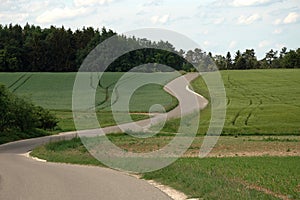 Winding country road between green fields in spring