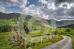 Winding country road leading trough Black Valley, Ring of Kerry