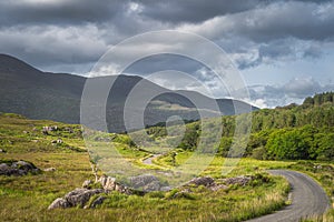 Winding country road leading trough rough landscape of Molls Gap in MacGillycuddys Reeks mountains