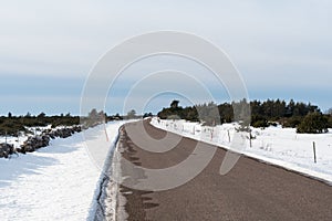 Winding country road with snow stakes by roadside