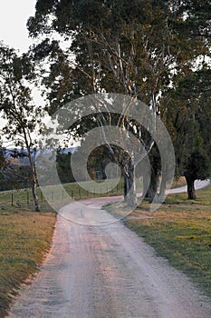 Winding country road at sunset in Australia