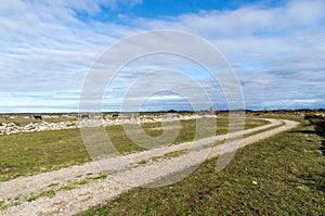 Winding country road in a wide open plain grassland