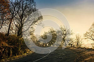 Winding countryside road in late autumn fog