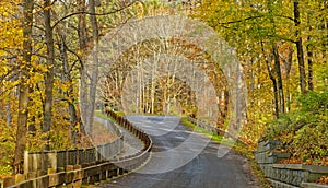 winding curving uphill country road through Fall colors forest