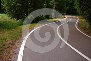 Winding dangerous forest asphalt road with markings