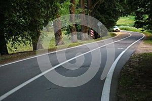 Winding dangerous forest asphalt road with markings