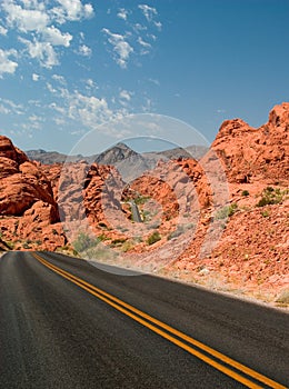 Winding Desert Road