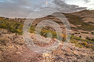 Winding dirt hiking trail in Utah mountains