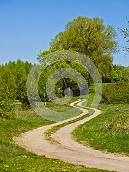 Winding dirt path road with tree