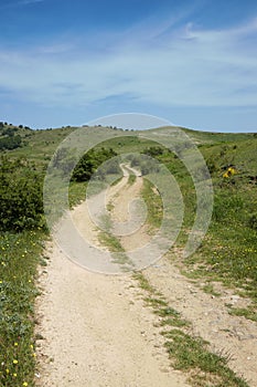 Winding dirt road in mountain of Nebrodi Park