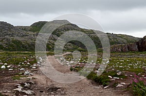 Winding dirt road in a mountainous area under a summer cloudy sky