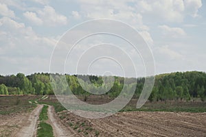 A winding dirt road to the forest. Beautiful cloudy sky. Spring landscape