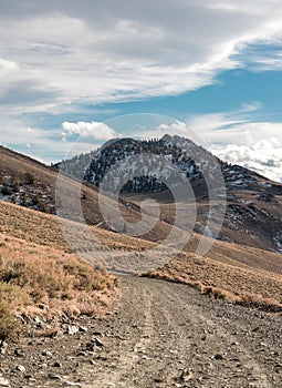 A winding dirt road in the White Mountains