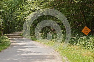 A winding dirt road in the woods