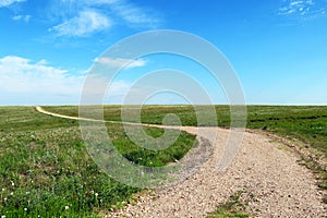 winding farm dirt road leading through pasture distance sunny