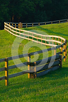 Winding Fence In flower filled meadow