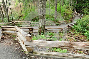 Winding fenced trail