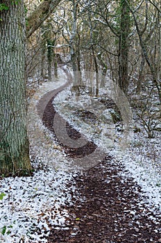 Winding footpath with the first snow