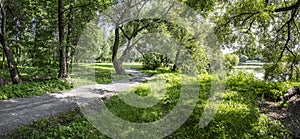 Winding footpath on lakeshore with beautiful green trees. summer day. panoramic view