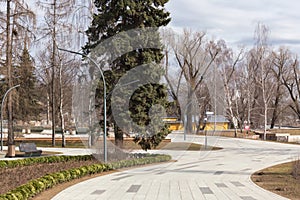 Winding footpaths in the city Park of Moscow. Green spruce, original lanterns and green bushes in the flower beds.