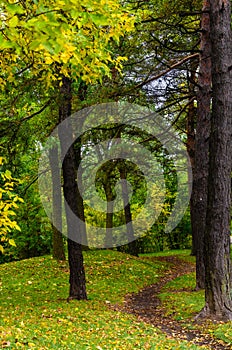 A winding footworn path in the fall woods