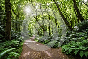 A winding forest path meanders through the lush greenery, dappled sunlight filtering through the canopy above, creating