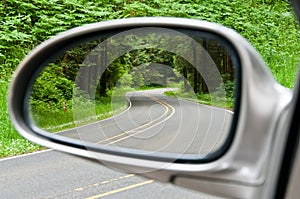 Winding Forest Road in Sideview Mirror photo